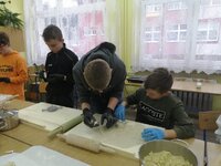 Szkoła Podstawowa w Korczynie