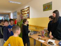 Szkoła Podstawowa w Korczynie