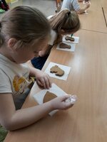 Szkoła Podstawowa w Korczynie