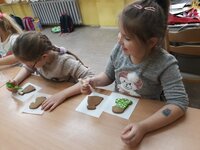 Szkoła Podstawowa w Korczynie